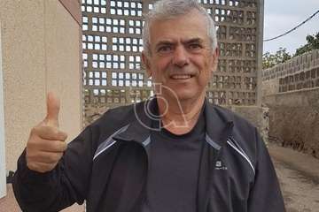 Yedra por el camino de El Cubillo camino de su casa (Foto TA)